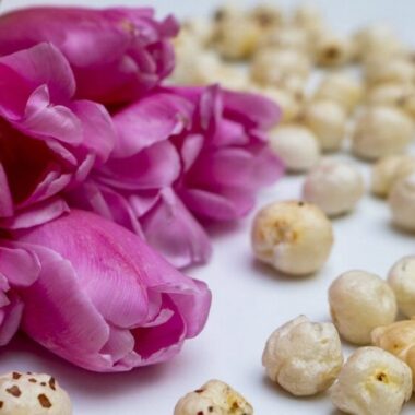 Mkhaan Food Professional