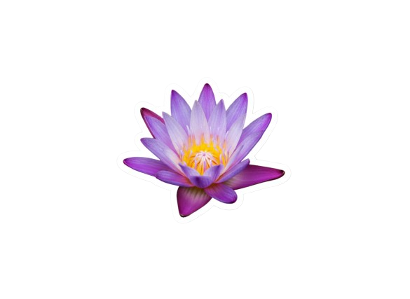 Small Icon Decoration